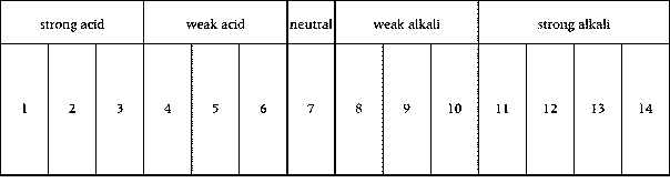Blank Ph Scale Chart