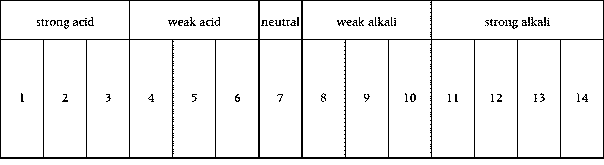 Blank Ph Chart