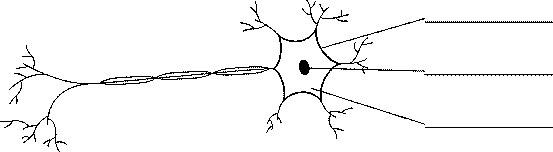 new page 2 how do cells form